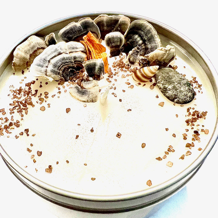 "Coral Reef" Artisanal Soy Candle